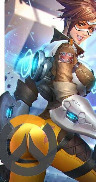 卫的典范 卫的典范