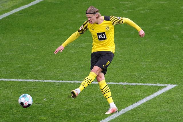 队未来反弹 队未来反弹